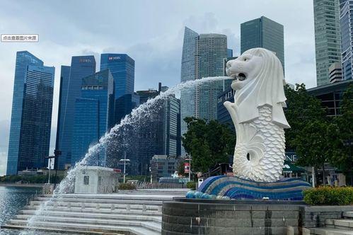 龙狮城最新爆料新闻,揭秘神秘项目背后的惊人真相